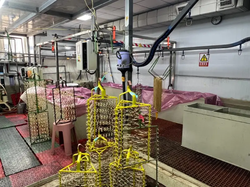 Professional Plating Factories